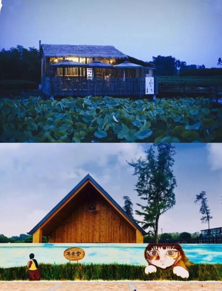 成都出发，一路向西的“旅行列车”年底开通！沿途好多……