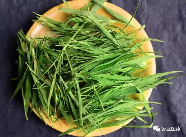 喝了冷饮喝什么茶解渴最好,夏天喝这六种茶不仅解渴还能消暑