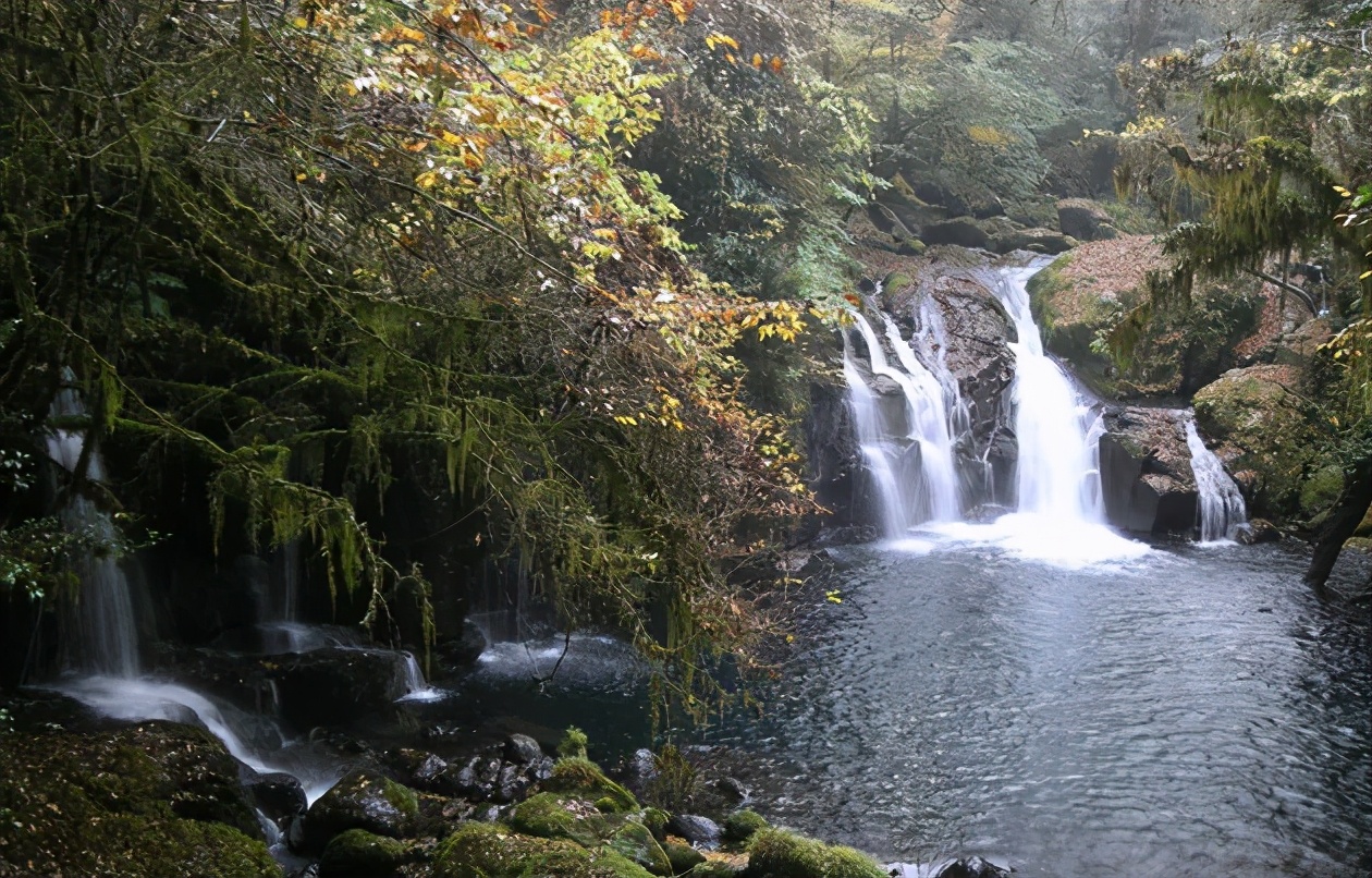 玩转日本东京大阪奈良,日本关东自由行旅行攻略