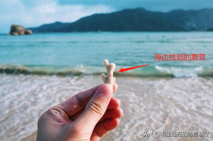 三亚蜈支洲岛后海渔村特色美食街,蜈支洲岛码头后海渔村客栈