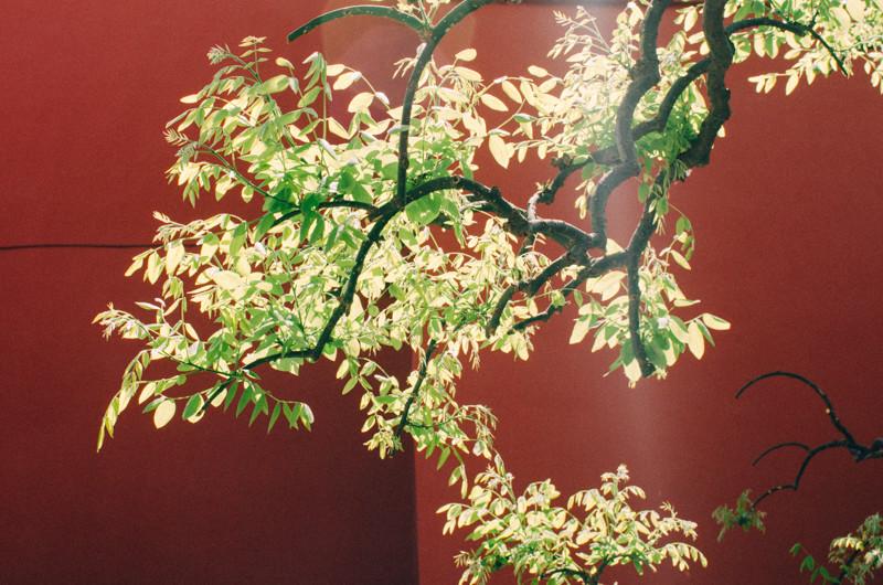 故宫不回头逛的最全路线图,逛故宫最值得去看的几个地方