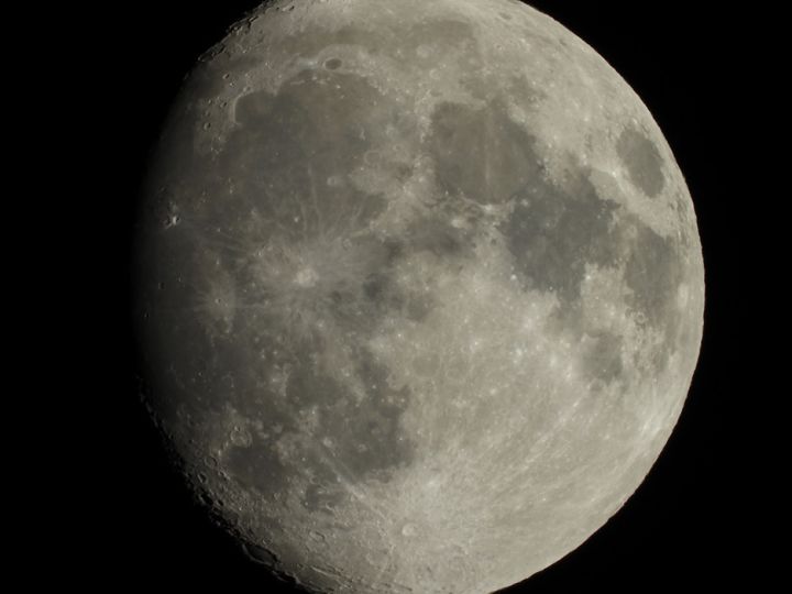 尼康单反相机怎么看型号,从零开始认识相机类型