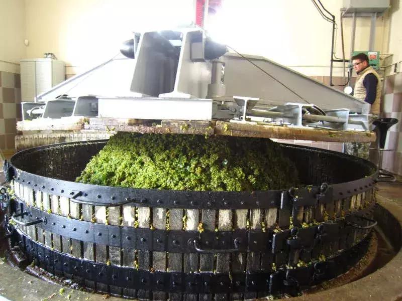 鍠濊捣娉￠厭,鍠濊捣娉￠厭濂藉悧