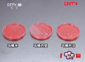 提升居家幸福感的好物,居家好物推荐神器