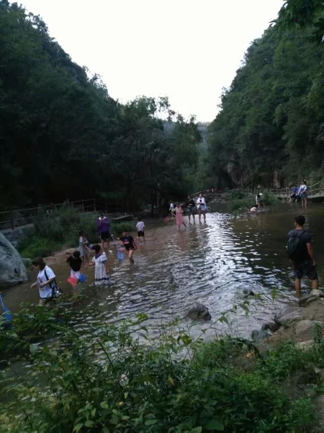 养子沟游玩攻略,养子沟畅游文案