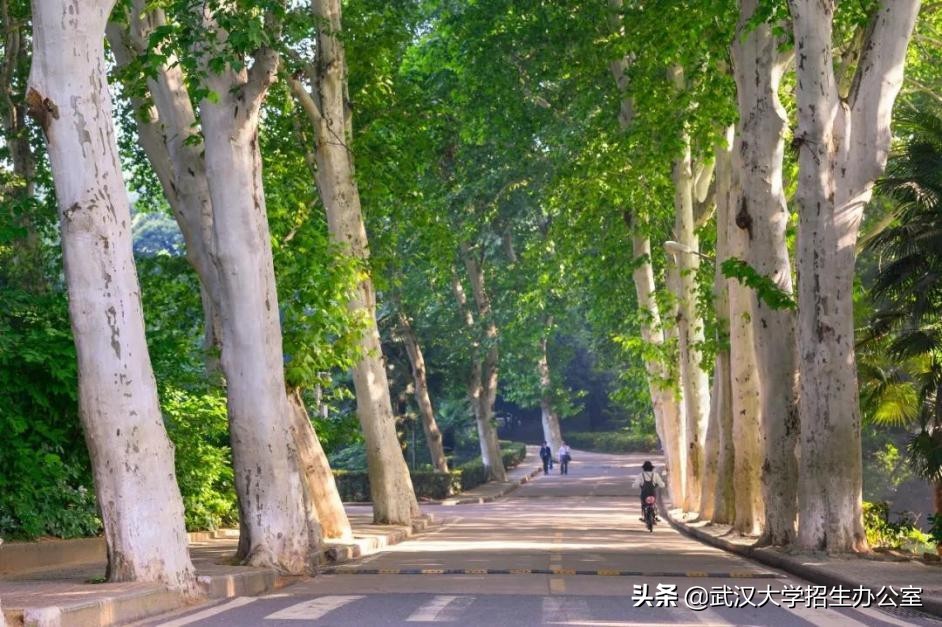 中国最美大学：坐拥26栋“全国重点*物文**保护单位”，走出上百位院士！