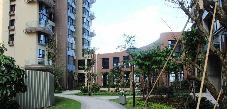 海口买房最坑的小区,海口住宅业主打起来