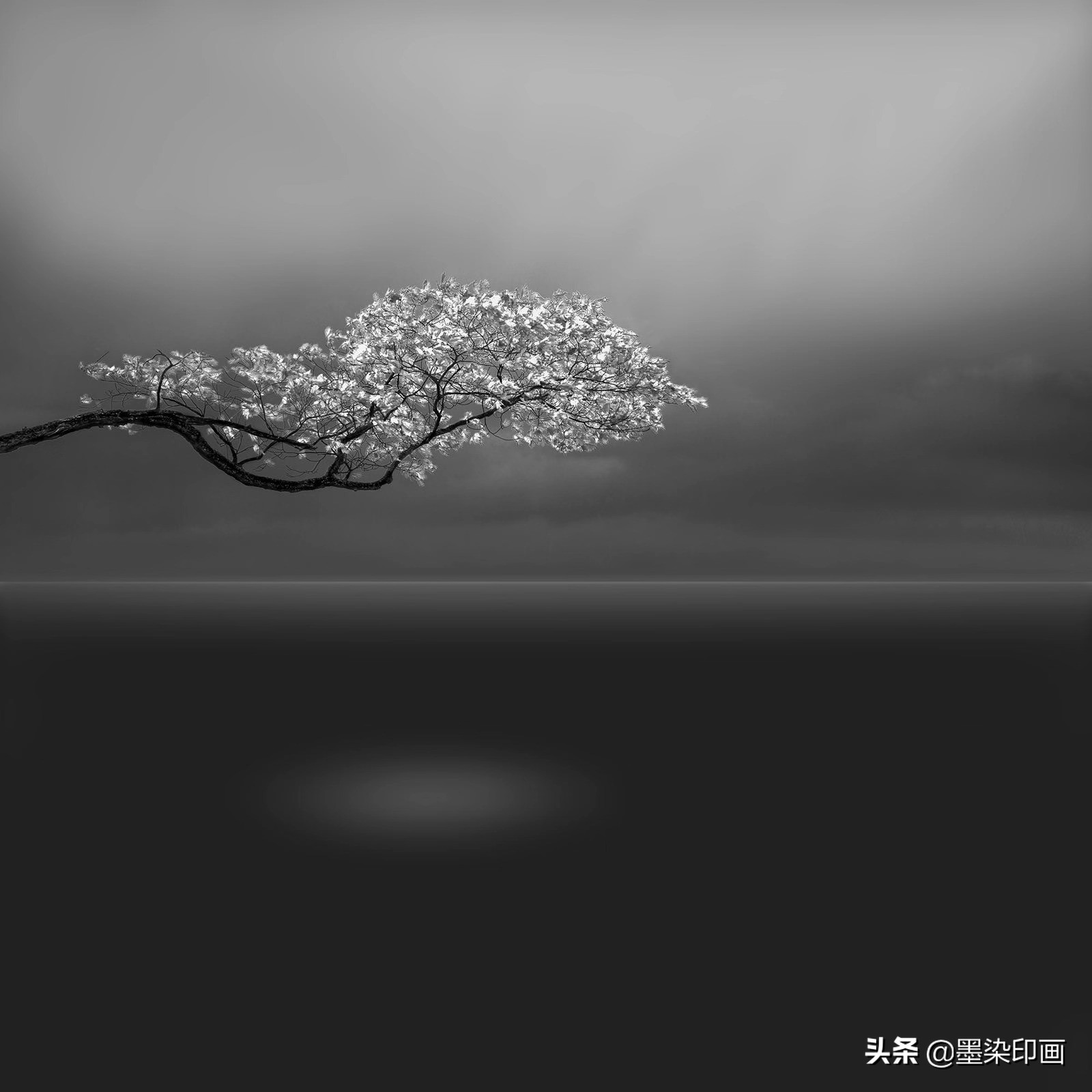 极简黑白摄影的魅力,黑白摄影怎么拍才好看