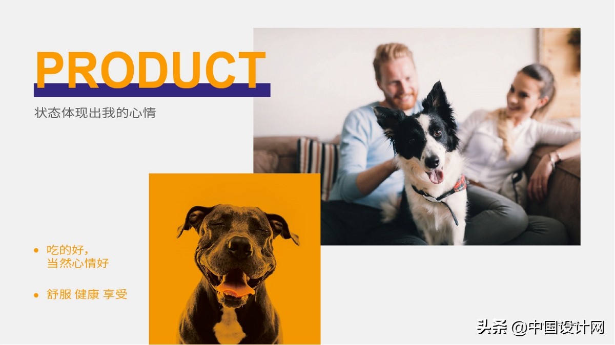 钃濇皬鐚伯鍖呰璁捐,鐚伯鐙楃伯绯诲垪鍖呰璁捐鐞嗗康