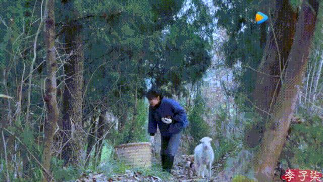 李子柒视频转场技巧,李子柒拍摄视频技巧