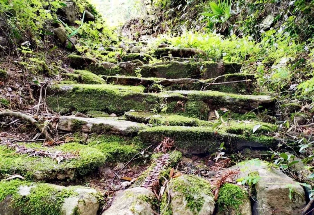 安徽十大经典古道,安徽十条古道