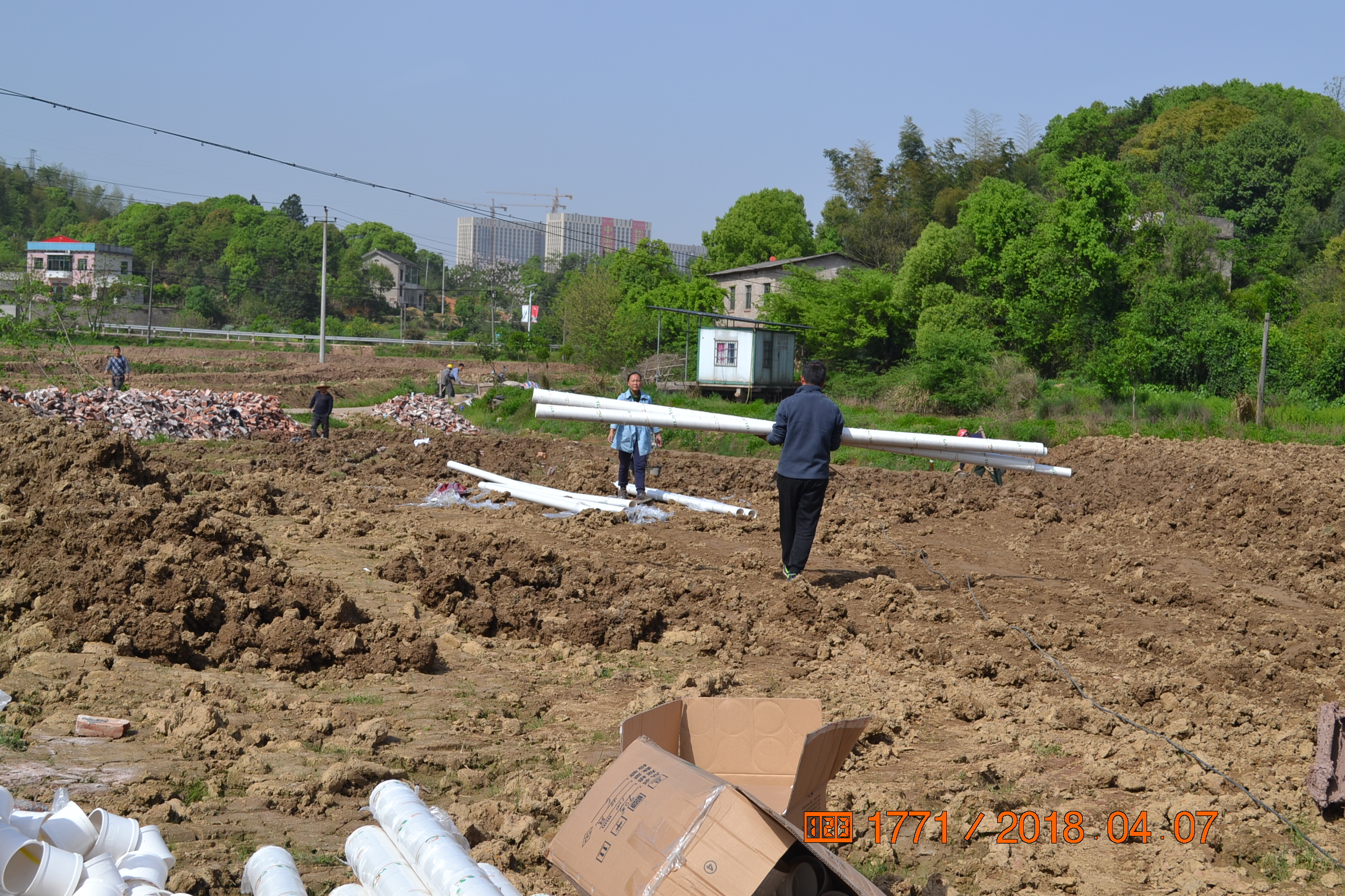 湖南最好的锦鲤养殖基地,湘潭锦鲤养殖