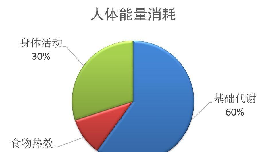 代谢怎么改善,运动可以避免基础代谢率下降吗