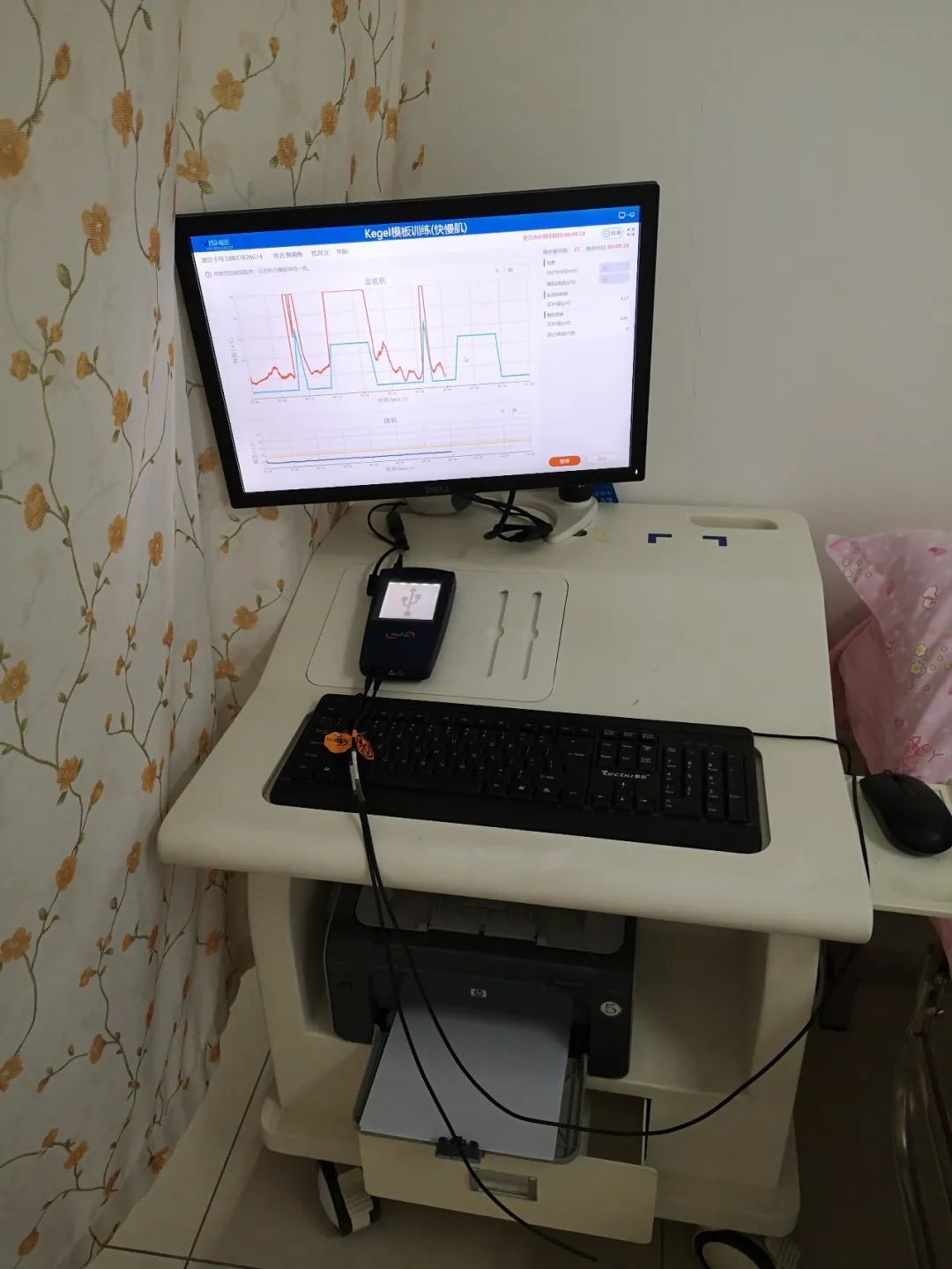 新手孕妈可以免费领取什么,孕妈免费领的有什么