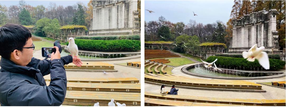 飞行2万公里，足迹10个城市——2020我的手机摄影之旅