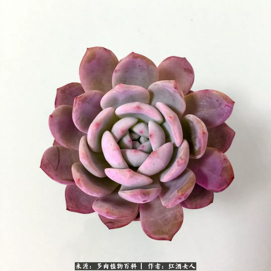 记录走过的美景留下美好的回忆,记录走过的每一段美好时光