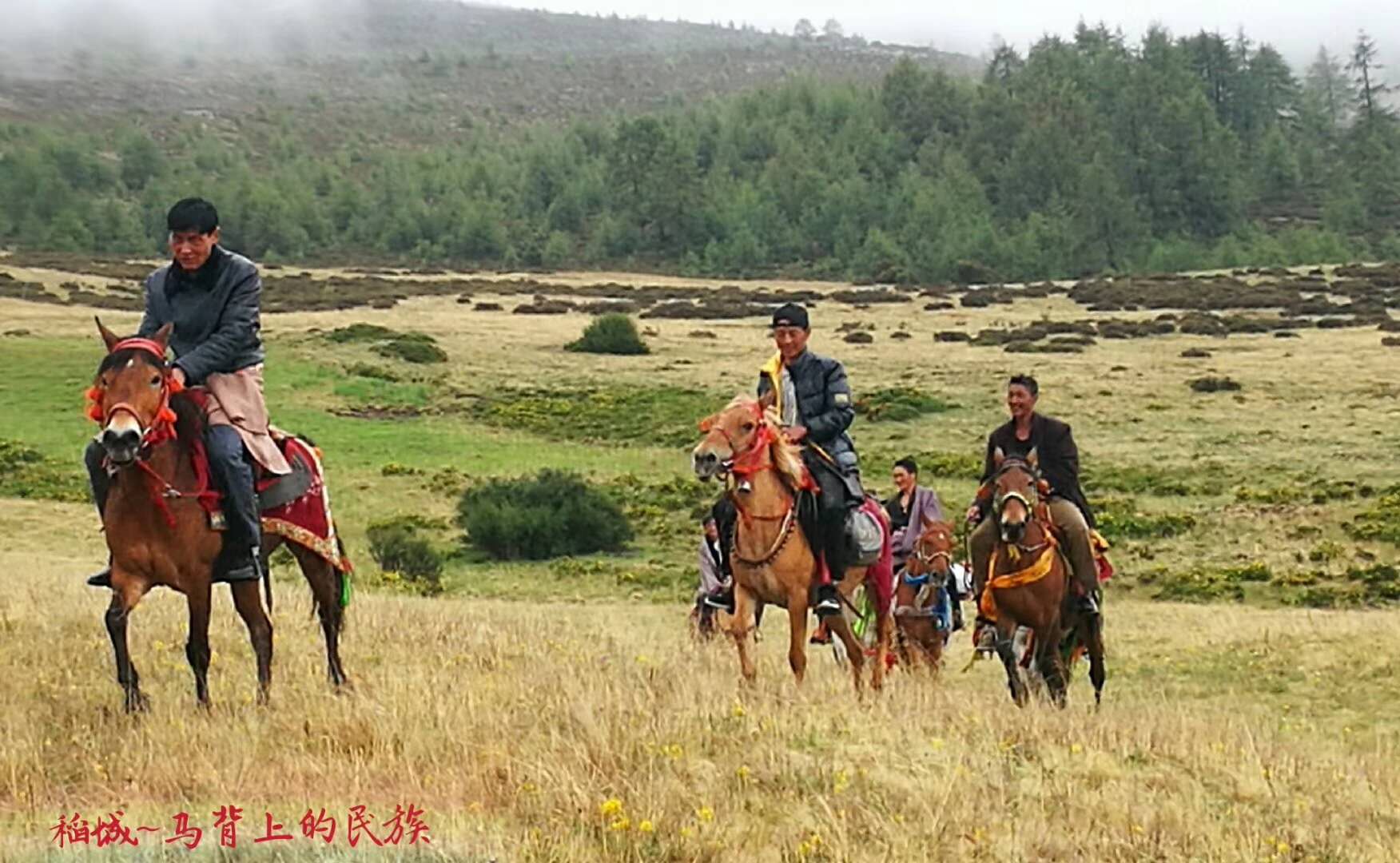 高原上奔跑是什么样的感觉,云顶草原骑马真实感受