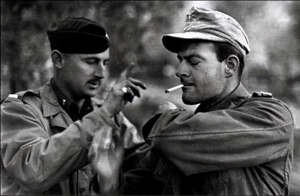 英国*草烟**商想证明香烟无害，每天给狗抽100支，3年后结果如何