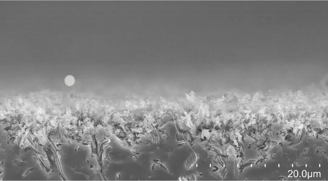 终局之战!!“光影化境”悦昌行杯摄影大赛复赛等你投票~