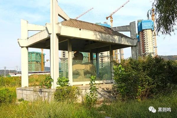 南京相隔百年的照片,南京城景对比图