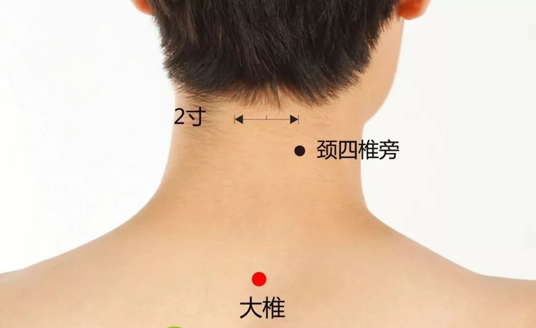 小寒要努力生活,小寒要干什么