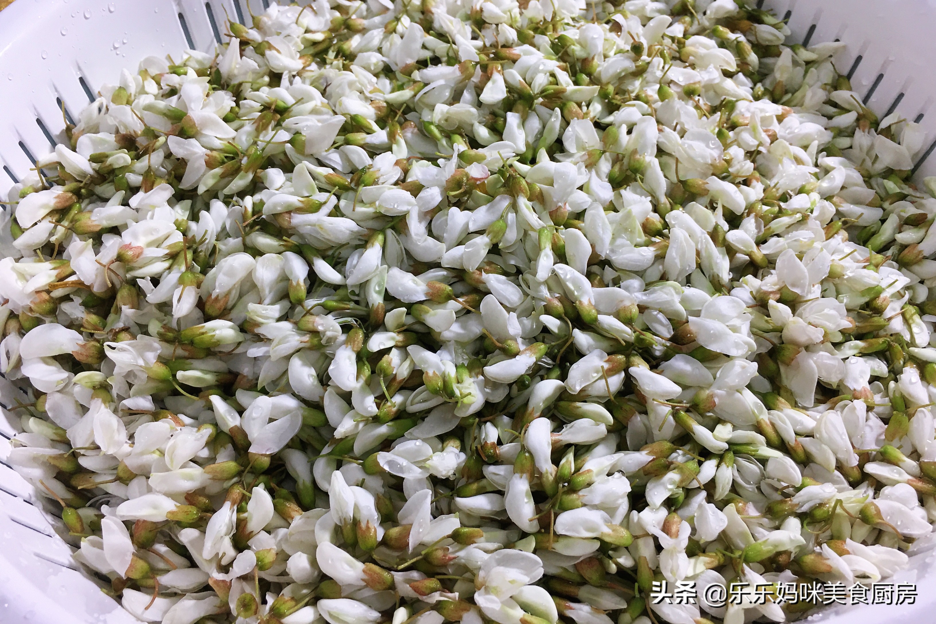 怎么能让槐花一直保持香气,槐花怎样储存保鲜的时间较长