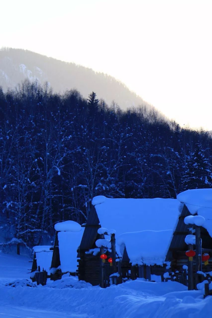 鍫瘮鐟炲+鐨勪腑鍥芥粦闆満,濯茬編鐟炲+