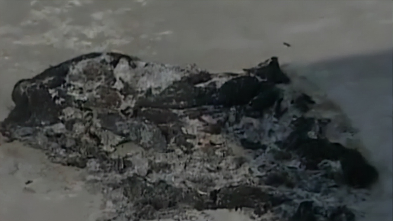 老人突然人体自燃烧成灰,老人自燃真实视频