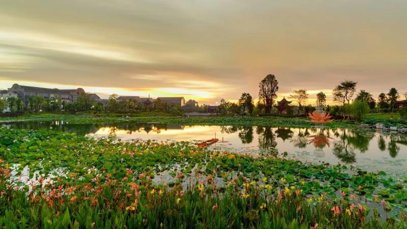 vr直播24小时,vr直播预告