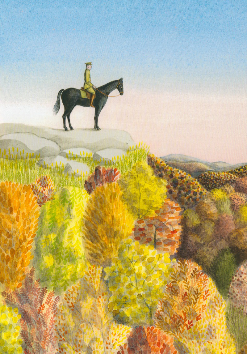 凯迪克金奖《寻找维尼》：小熊维尼的真实故事