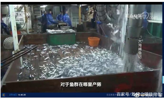 莱黄之鲐，不可胜食。鲐是指鲐鱼，它的味道并不好，但产量比较大