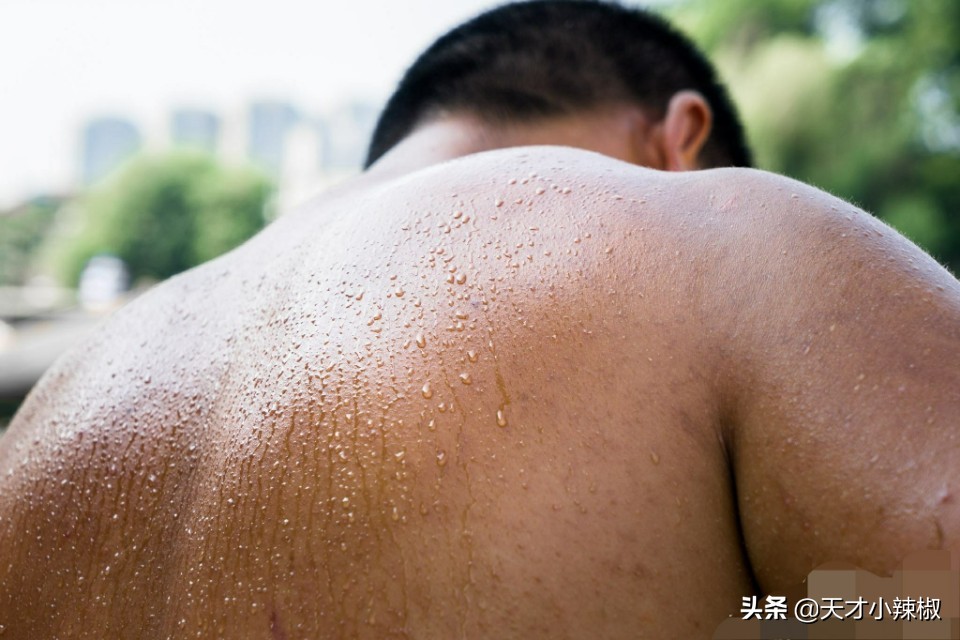 韵达快递分拣工作累不,韵达快递分拣一天的工作流程