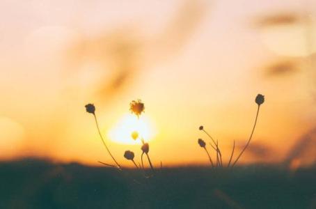 人做*梦春**到底是潜意识还是生理反应?为什么有的梦境会让人尴尬?