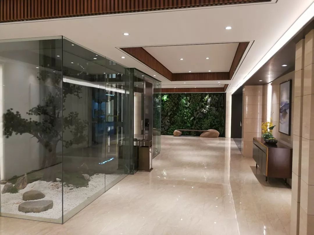 真正的豪宅车库,这样考虑