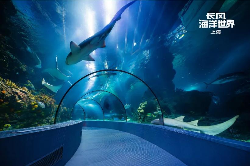 暑假遛娃周边游地方推荐,夏季周边遛娃一日游旅游景点推荐