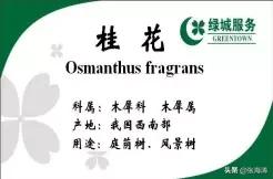 物业超值服务标准,物业贴心服务清单