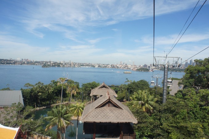 悉尼塔龙加动物园游玩攻略,悉尼塔龙嘉动物园游记