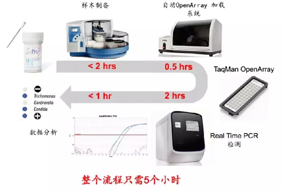 陈超：妇科病原微生物高通量快速检测和精准治疗