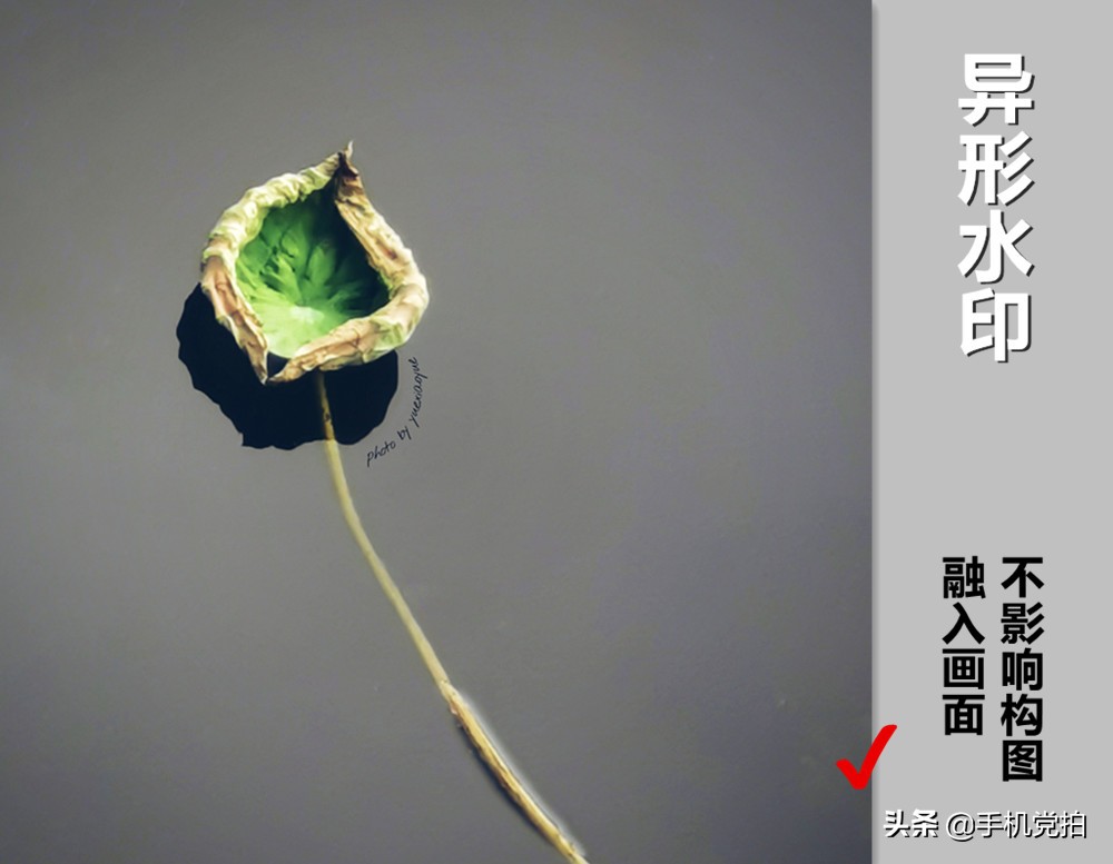 怎样给照片弄上水印,苹果手机怎么给照片添加时间水印