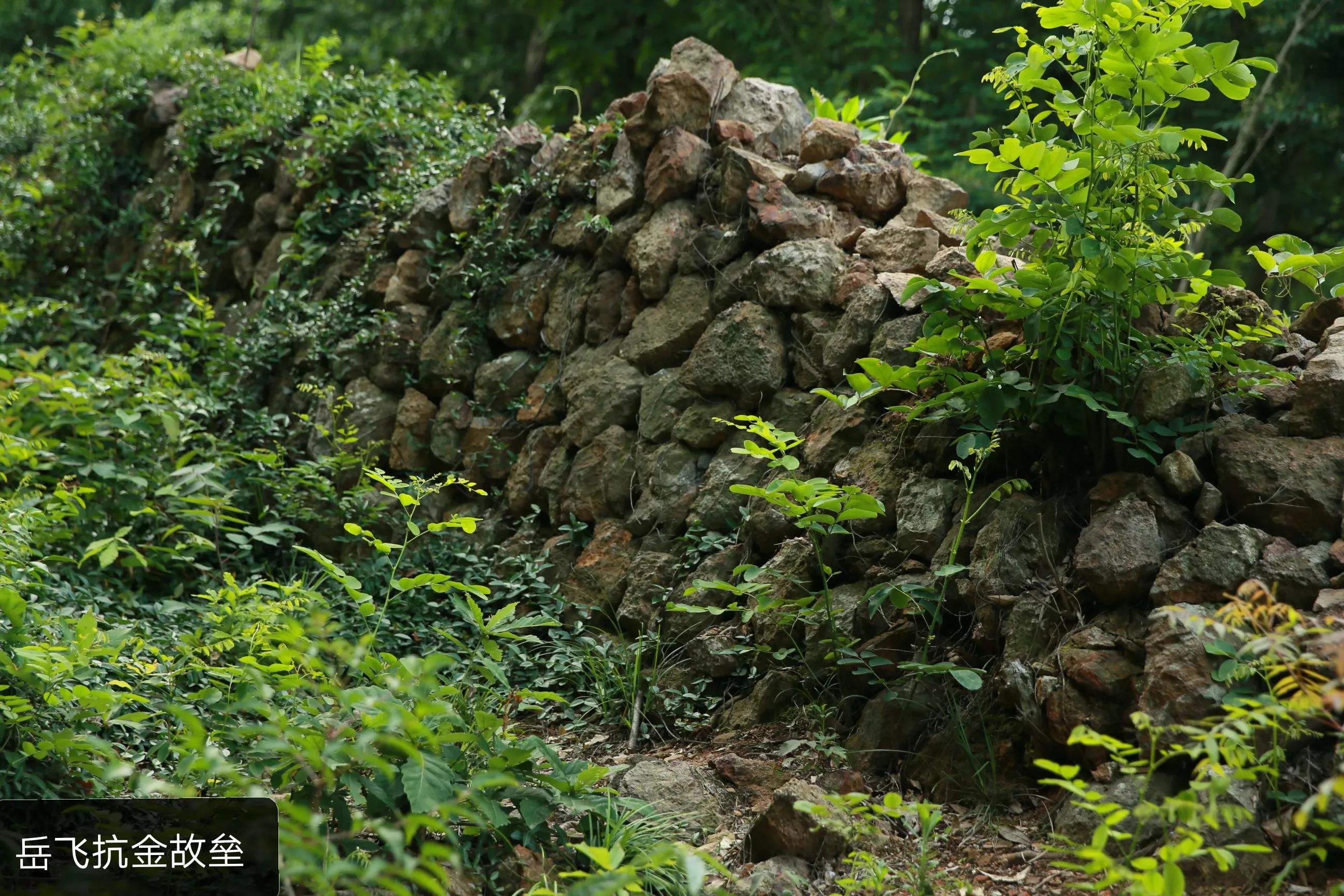 世凹桃园,世凹桃源图片