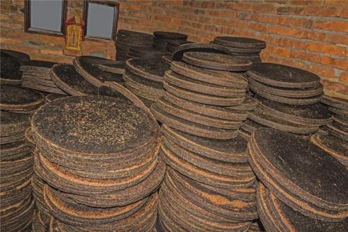 小龙虾塘蓝藻最好的解决方法,虾塘蓝藻的症状