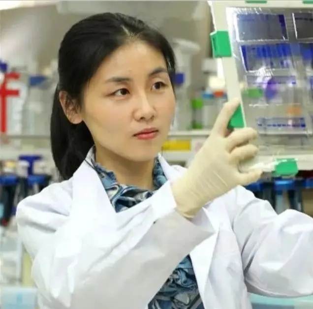 做行政好还是招生业务好,做行政要学哪些专业