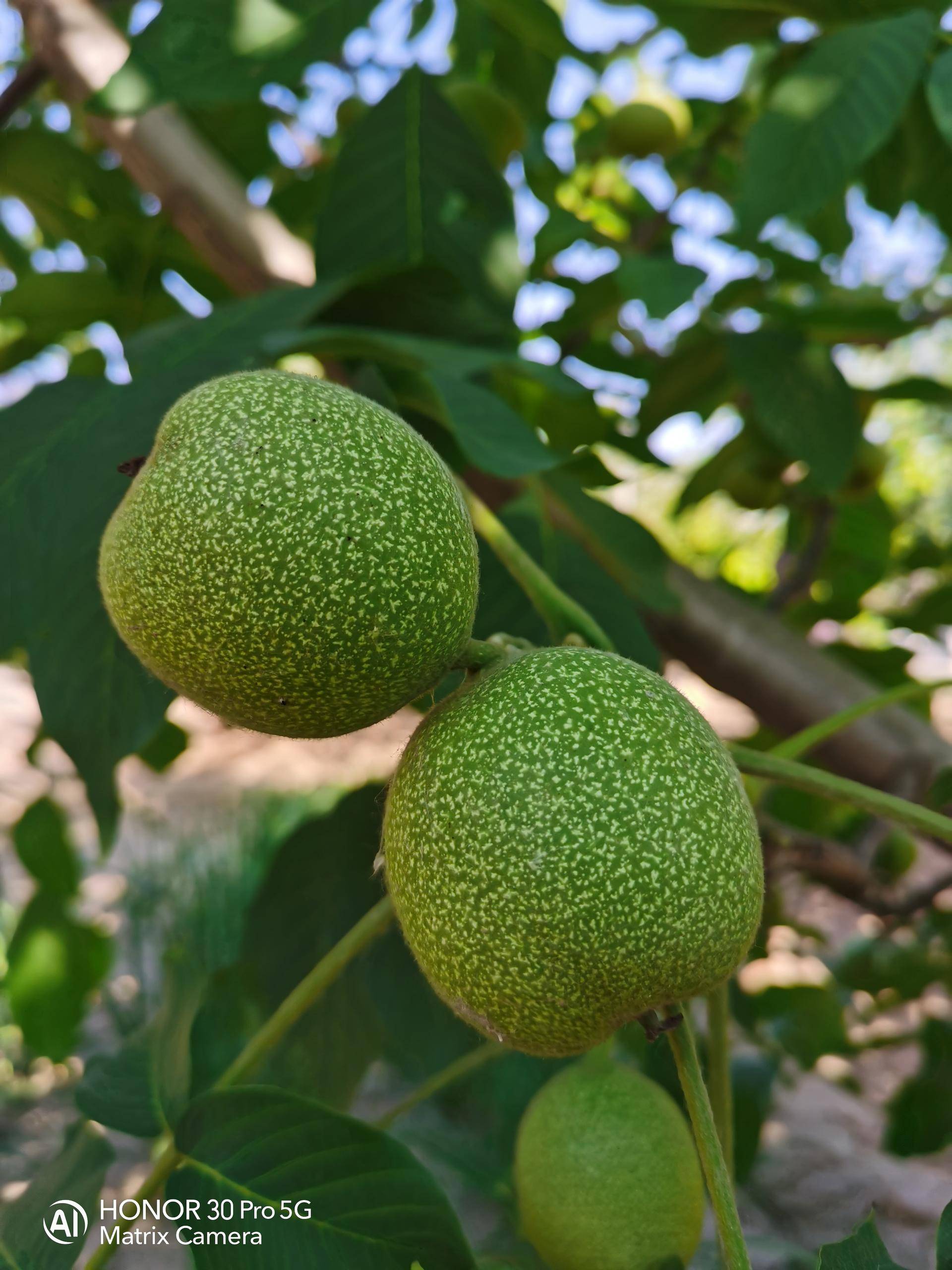 荣耀30pro用一个月的感受,荣耀30pro真实使用感受