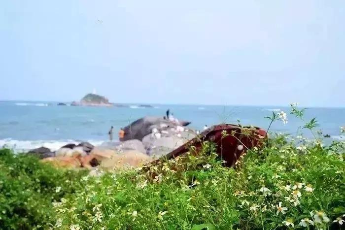 夏威夷网红打卡地,福建夏威夷十大网红打卡地