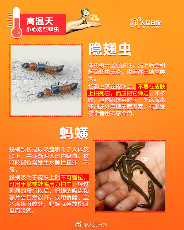 小天晨报丨10项涉车便民措施6月起全疆推行，伊宁小伙徒手接住5楼坠落男童