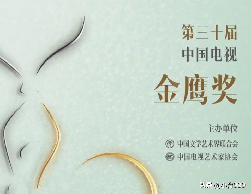 历届金鹰奖女神名单,历届的金鹰女神谁的美最能打动你