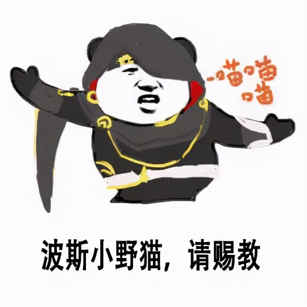 那些年，和话唠师父鸡飞狗跳的剑网3江湖日常