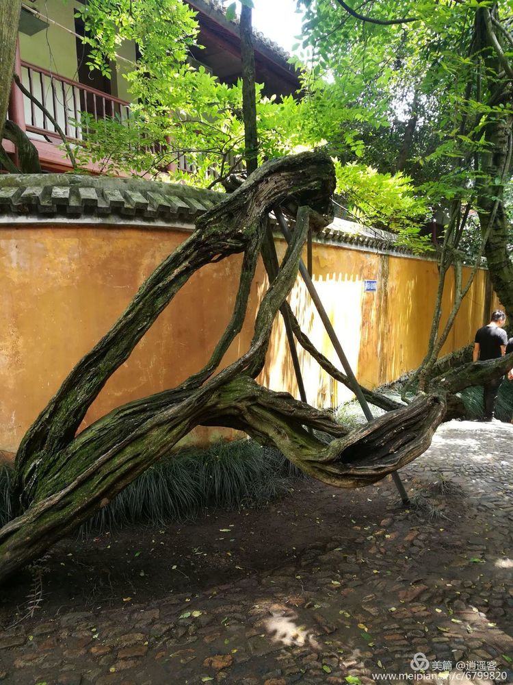 台州天台山国清寺要门票吗,天台山国清寺旅游攻略
