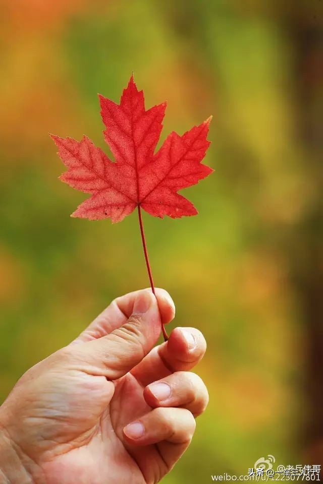 大连有一个蓝色的小城堡景点,大连秋季旅游景点攻略大全