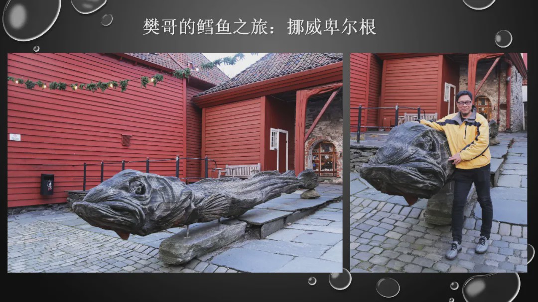 樊哥说中国美食,樊哥讲冰鲜生鲜